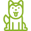 涂柏鸥